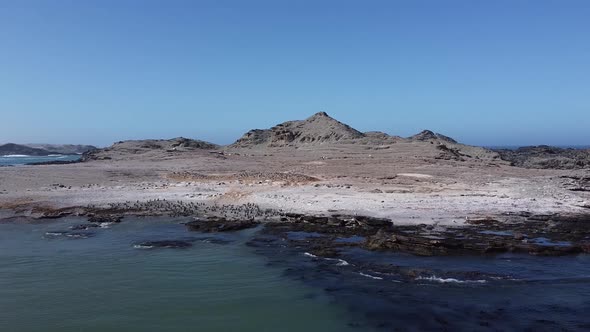 Island near Luderitz with a colony of black footed penguins and flamingos