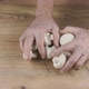 Fresh Mushrooms in Farmers Hands - VideoHive Item for Sale