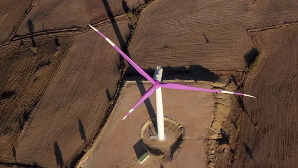 Birds Eye Wind Turbine