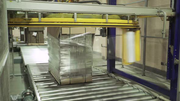 A Working Conveyor in a Paper Mill, Technology, Factory. Kyiv, Ukraine