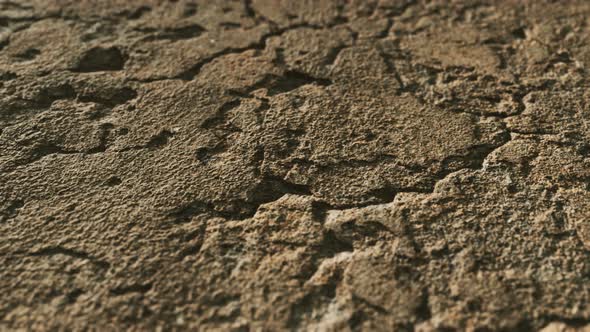 Closeup of Dirty Ground Road