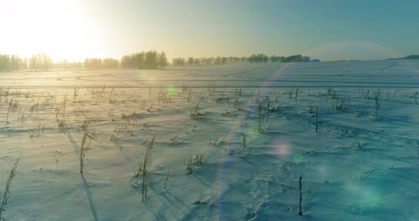 Aerial Drone View of Cold Winter Landscape with Arctic Field Trees Covered with Frost Snow and