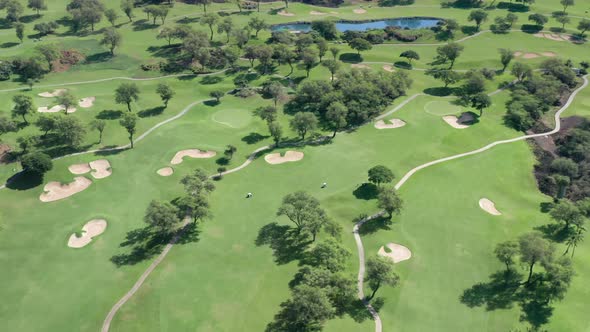 Aerial Green Grass and Trees on Golf Field Tropical Island of Maui Hawaii USA