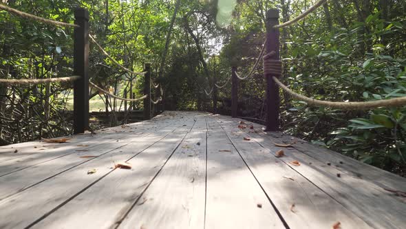 Person Walks Along Bridge Among Tropical Plants in Jungle