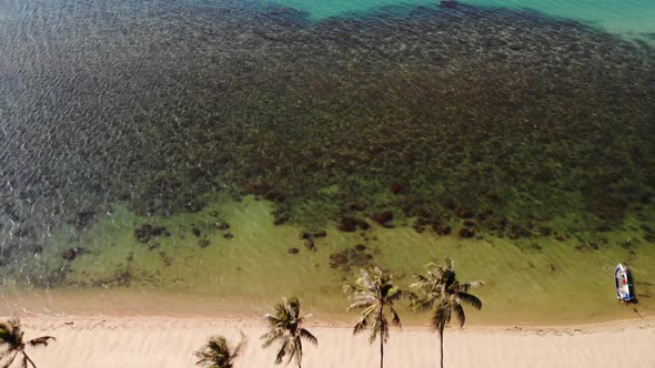 Oriental Houses on Seashore. Drone View of Lovely Oriental Cottages and Green Coconut Palms