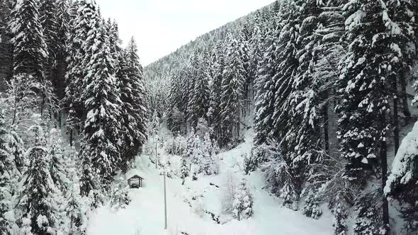 Winter beautiful scenery landscape with snowy forest road, from a drone.