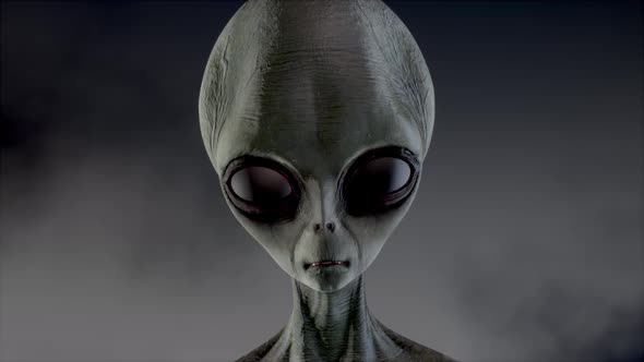 Scary Gray Alien Stands and Looks Blinking on a Dark Smoky Background. UFO Futuristic Concept. 3D alt
