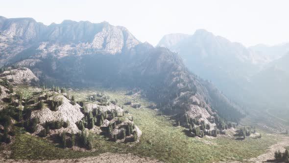 Fir and Other Pine Trees on Mountains on a Sunny End of Summer