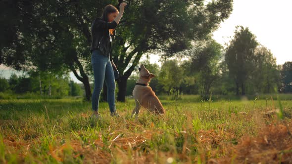 A Young Girl Is Training Her Outbred Dog To Give a Voice in a Park.