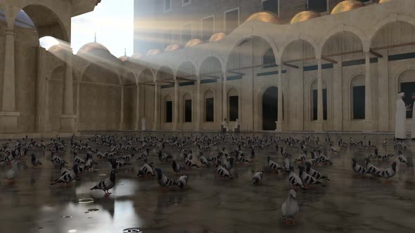 Mosque Courtyard and Pigeons