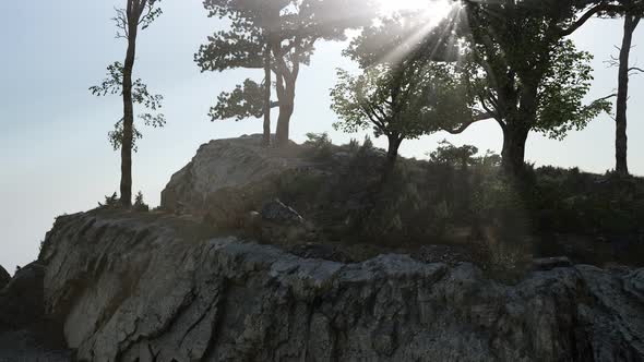 Trees on Rocks in Mountains at Sunset