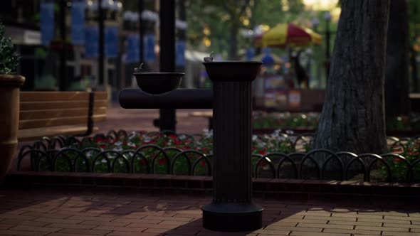 Quiet City Park with Trees and Benches