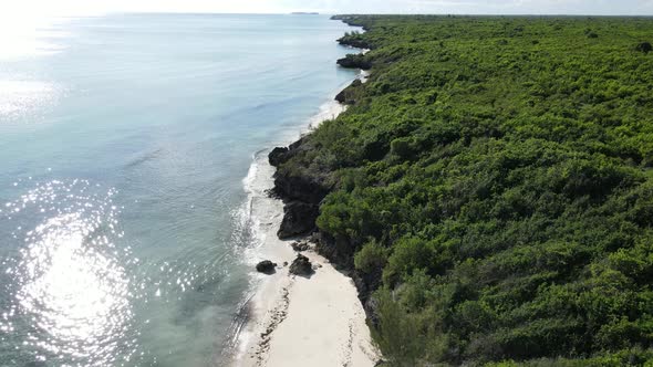 Coast of Zanzibar Island Tanzania Covered with Thickets