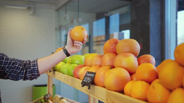 Man Carefully Selecting Grapefruit at Greengrocer
