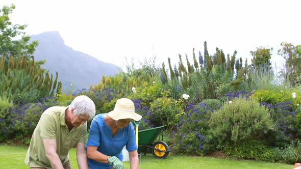 Senior couple gardening together