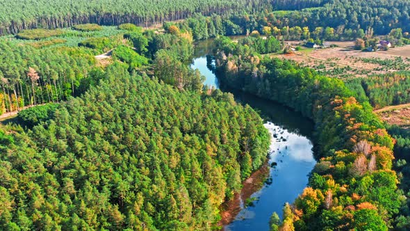 River and forest in early autumn. Aerial view of wildlife