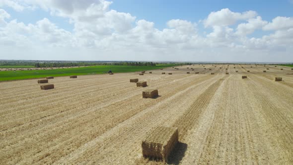 Straw Fields At Sdot Negev Settlement's, Israel