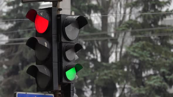 Traffic Light on the Road Regulates Traffic