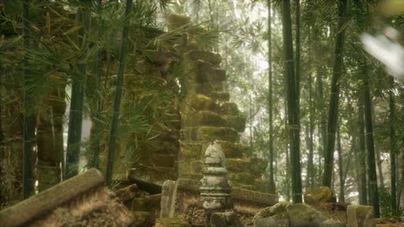 The Ruins of Ancient Buildings in Green Bamboo Forest