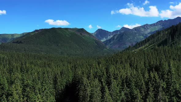 Aerial view of Rohace National Park, part of the Western Tatras in Slovakia