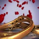 rings and hearts rotation - VideoHive Item for Sale
