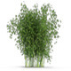 20 Style of Bamboo - 3DOcean Item for Sale