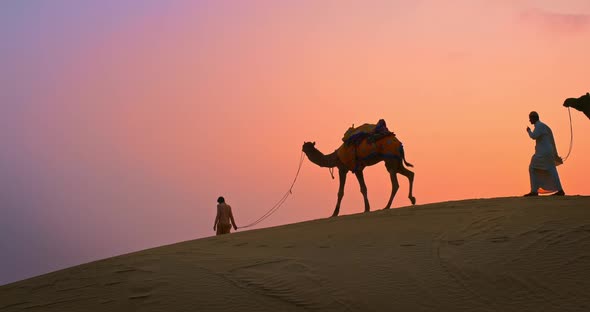 Indian Cameleers (Camel Driver) Bedouin with Camel Silhouettes in Sand Dunes of Thar Desert on