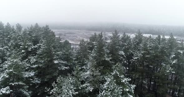 The drone flies over the snowy peaks of the trees