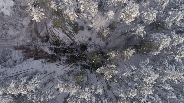 Top down Aerial view of harvester logging a trees in the winter forest 12
