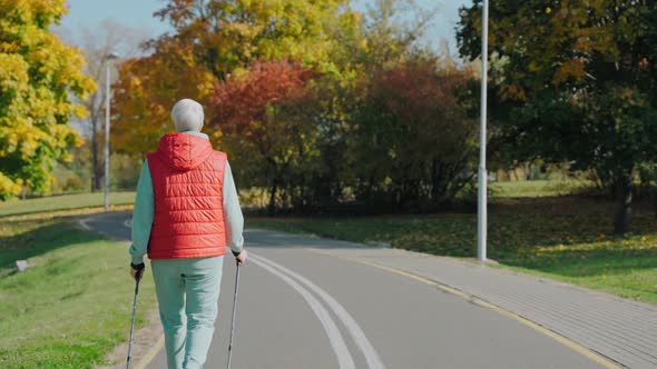 Shot of Woman Walking in Sunny Fall Park with Nordic Walking Poles Side View