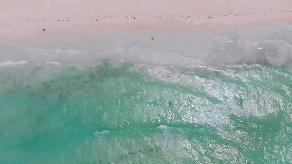 Tropical Beach, Top Down Aerial View of Tides Waves Break on Exotic White Coast