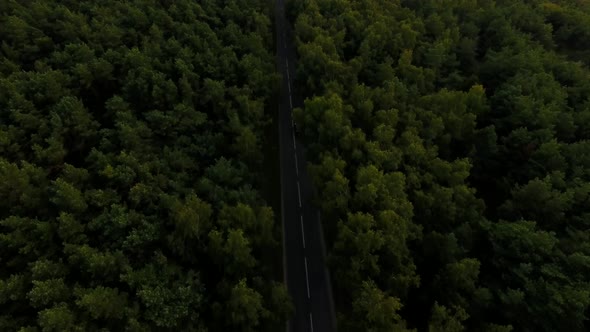 Aerial view of the highway in the Curonian Spit