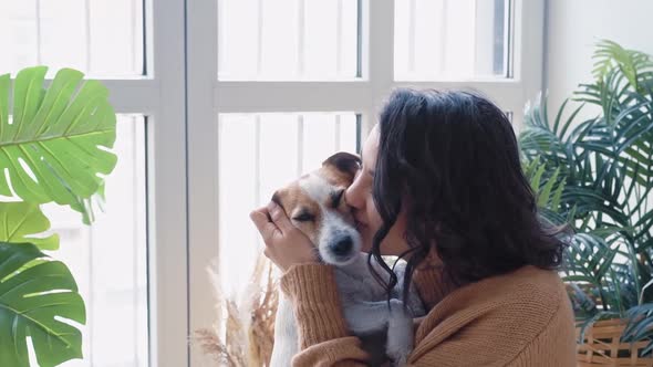 Young Beautiful Woman Casual Clothes Hugs Kisses Her Beloved Little White Jack Russell Dog Sitting