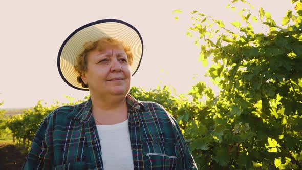 Portrait of a Elderly Female Farmer with Hat Standing in a Vineyard