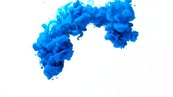 Paint Motion Blue Splash