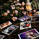 Pictures In The Garden v.2 Thumbnail