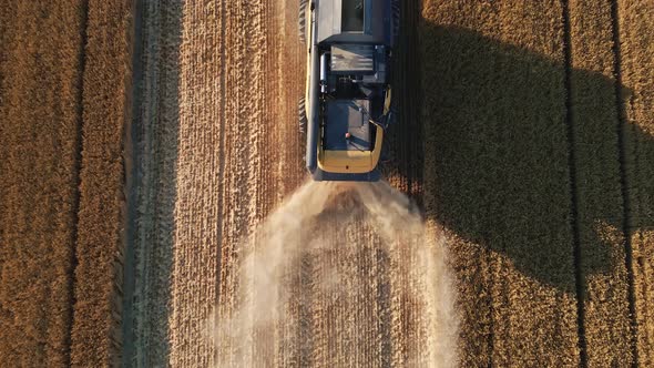 Harvester Combine Working in the Field