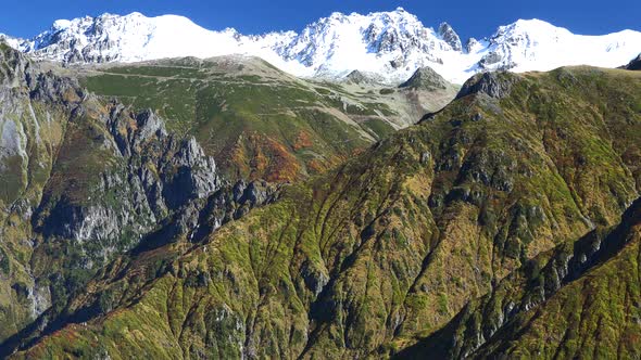 Amazing Autumn Colors of Natural Vegetation and Snowy Mountain Peaks