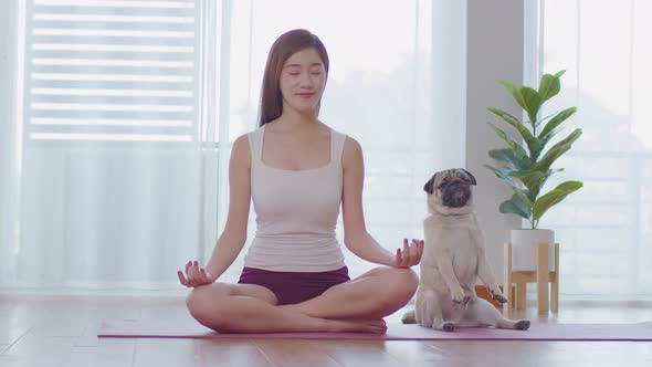 Calm of Beautiful Asian woman practice Breathing yoga lotus pose with cute dog pug breed