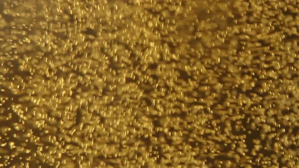 Macro Shot of Floating Bubbles in Gold Fresh Beer in Slow Motion, Poured Lager, Alcohol Beverage