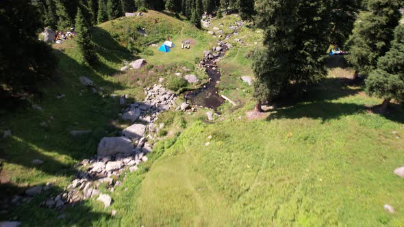 A Small Pond and a Stream in a Mountain Forest