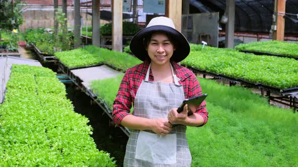 Beautiful gardener woman uses a tablet while working in a greenhouse.