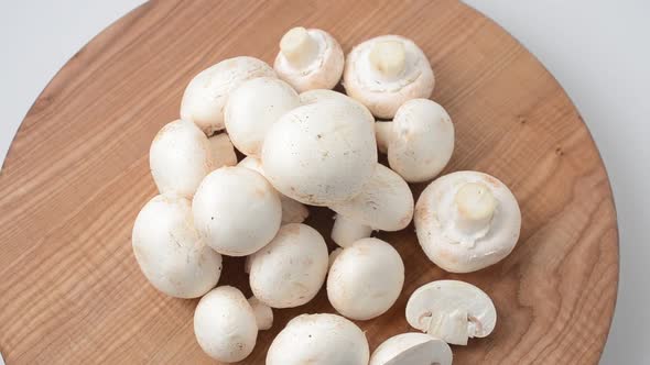 Mushrooms 12