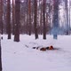 Flying a Drone Over a Campfire in a Winter Forest - VideoHive Item for Sale