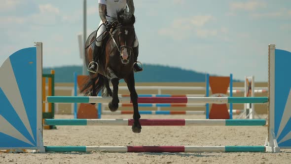 Horse Jumping Over Obstacle on Sandy Parkour Riding Arena Equestrian Competition