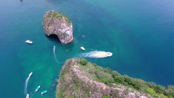 Parque Marino en Puerto Vallarta