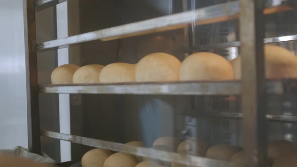 Cart with Fresh Baked Raisin Bread is Taken Out of the Oven Woman Baker Dressed in White