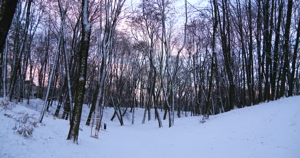 Park covered with snow at sunset