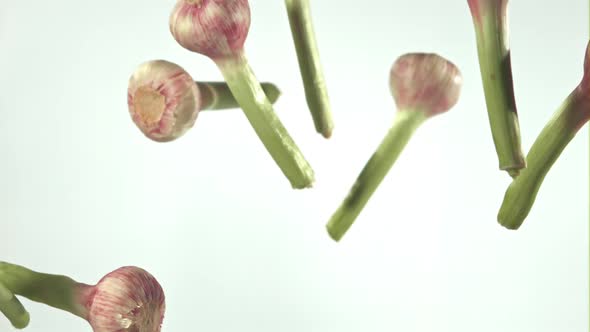 Super Slow Motion Garlic Falls on a White Background