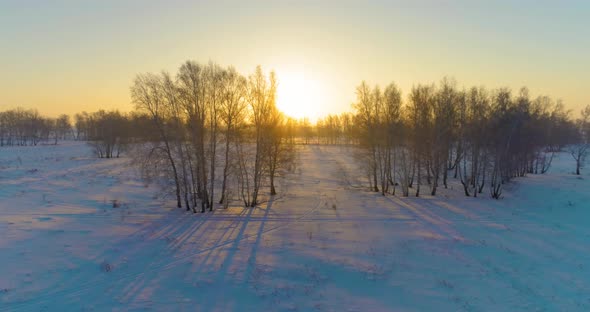 Aerial Drone View of Cold Winter Landscape with Arctic Field Trees Covered with Frost Snow and